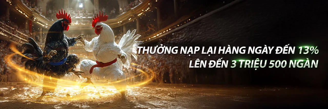 Banner tải xuống ứng dụng bmwbet login