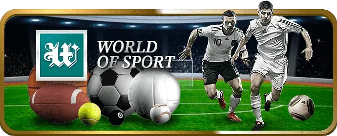 Hình ảnh quy trình giải quyết tranh chấp tại bmwbet login