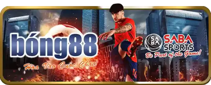 Giải thích Cookie và cách BMWbet Login sử dụng